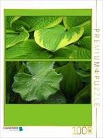 Calvendo Puzzle Green Leaves | 1000 Pieces, Finished Size 25.2 × 18.9 In (64 × 4