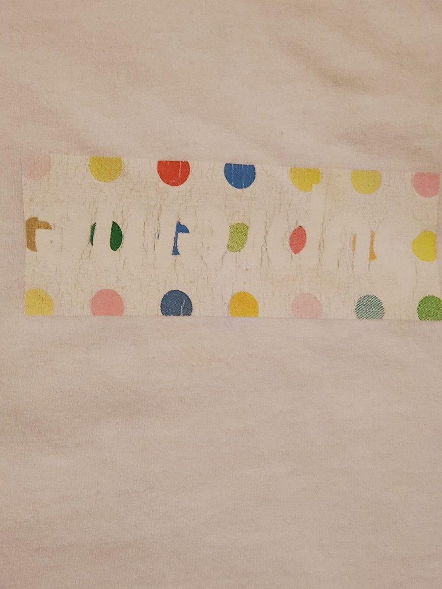 Supreme 希少supremeダミアンハースト ステッカーbox logoボックス