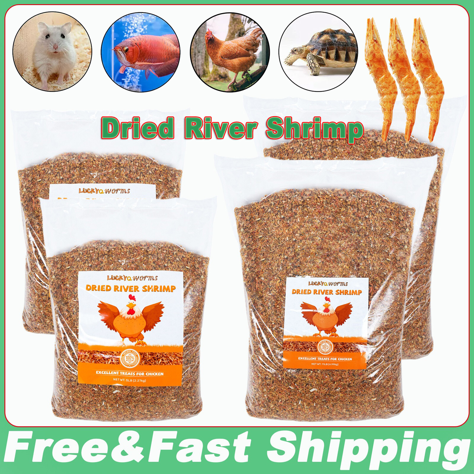 Dried River Shrimp High Protein Freeze Red Dried Shrimp All Natural Bird Food 