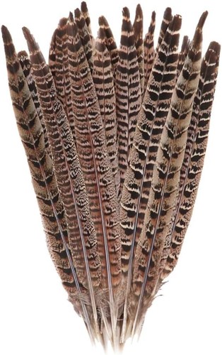 10 Pcs Long Pheasant Tail Feathers Natural Pheasant Feathers Floral Arrangeme...