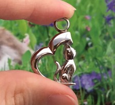 Cremation Jewelry Pendant Urn Ashes Silver Cat Heart Memorial Gift Kitten Angel