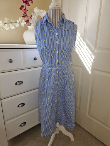 J. Crew Blue Stripe Lemon Print Cotton Button Down Sleeveless Shirt Dress Sz. 10