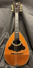 1892 Washburn Bowlback X-Brace - Brazilian RW - Player - Only 1 for sale online!