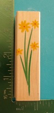 Hero Arts STARBURST DAISY CLUSTER Flower Rubber Stamp C2749 Summer Garden
