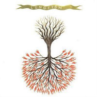 Lungfish Love Is Love Album