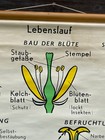 Bild 10 von 14