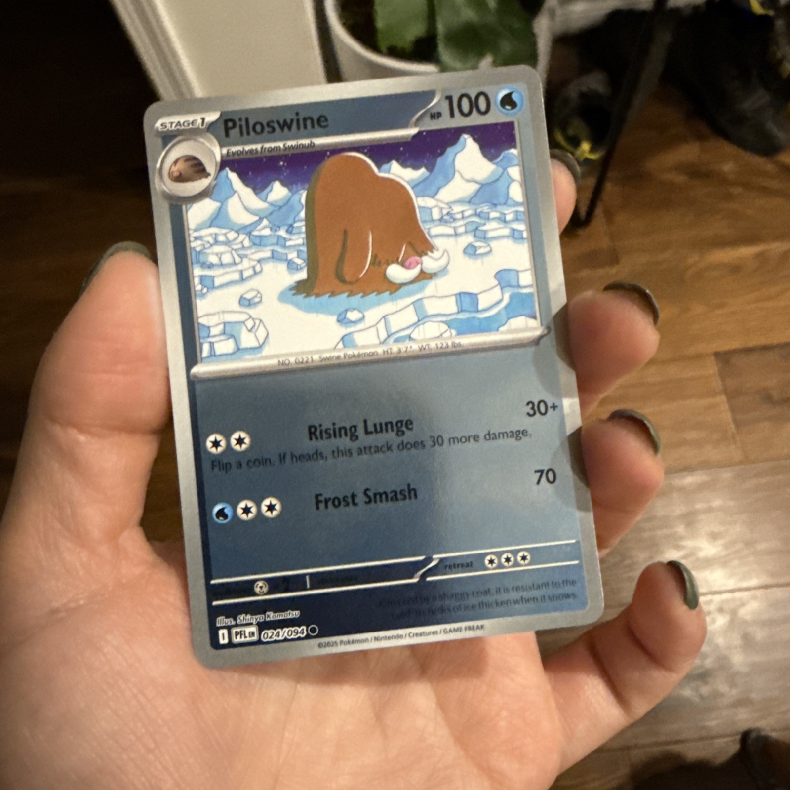Piloswine 024/094 Phantasmal Flames Reverse Holo Pokémon TCG NM