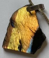 Ammonit Fossilienteller