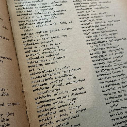 Antique Lietuviskai-Angliškas Žodynas Lithuanian-English Dictionary 142pp - Photo 7 sur 10