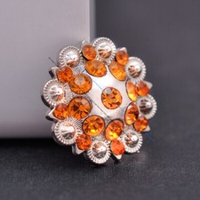 10 Set Horse Saddle Western Rodeo Bridle Berry Bling Rhinestone Leather Conchos
