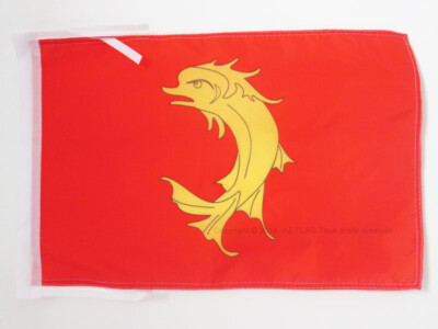 Drapeau Comté De Somerset 45x30cm - County Of Somerset