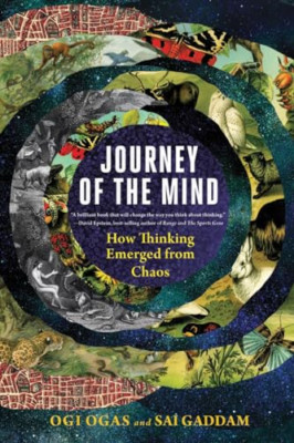 Journey of the Mind: How Thinking Emerged from Chaos - Paperback NEW Ogas, Ogi 2