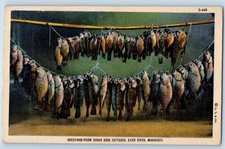 Deer River Minnesota MN Postcard Greetings Sugar Bush Cottages Hanging Fish 1940