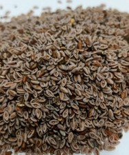 Graines de psyllium entier séchées, Plantago Indica, bio (100 grammes) بذور ا...
