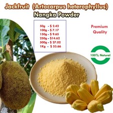 Dehydrated Jackfruit Powder Artocarpus heterophyllus Nangka Ceylon Organic