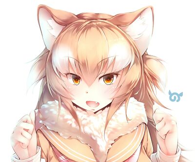 Anime kemono friends  japanese Playmat Gaming Mat