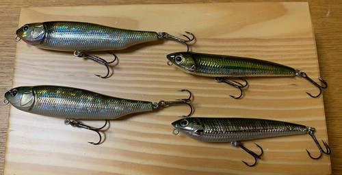 Megabass 2 GIAN T DOG-X & 2 DOG-X OIKAWA Stecker & Fmännchen Farbe NM Set - Bild 1 von 10