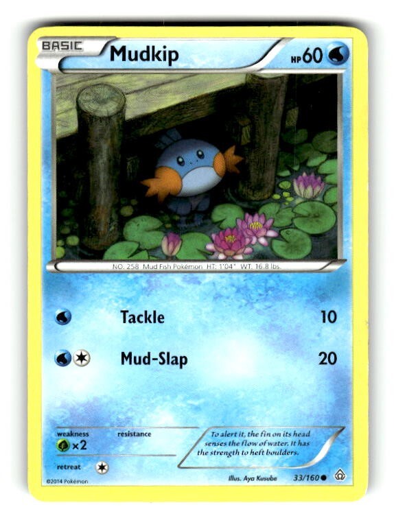Pokemon XY Primal Clash Mudkip 33/160 LP