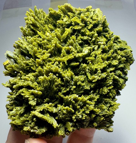 239 Grams Beautiful Shape Epidote Crystal Bunch From Baluchistan Pakistan. - Picture 8 of 16
