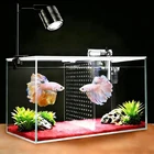 Fish Tank 3 Gallon Ultra-Clear Glass Fish Aquarium W/ Separator Plate Betta Fish