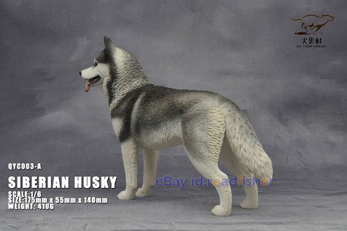 OUT THERE FOREVER 1/6 Modelo Husky Siberiano Animal Perro Coleccionista Decoración Pintado - Imagen 9 de 47