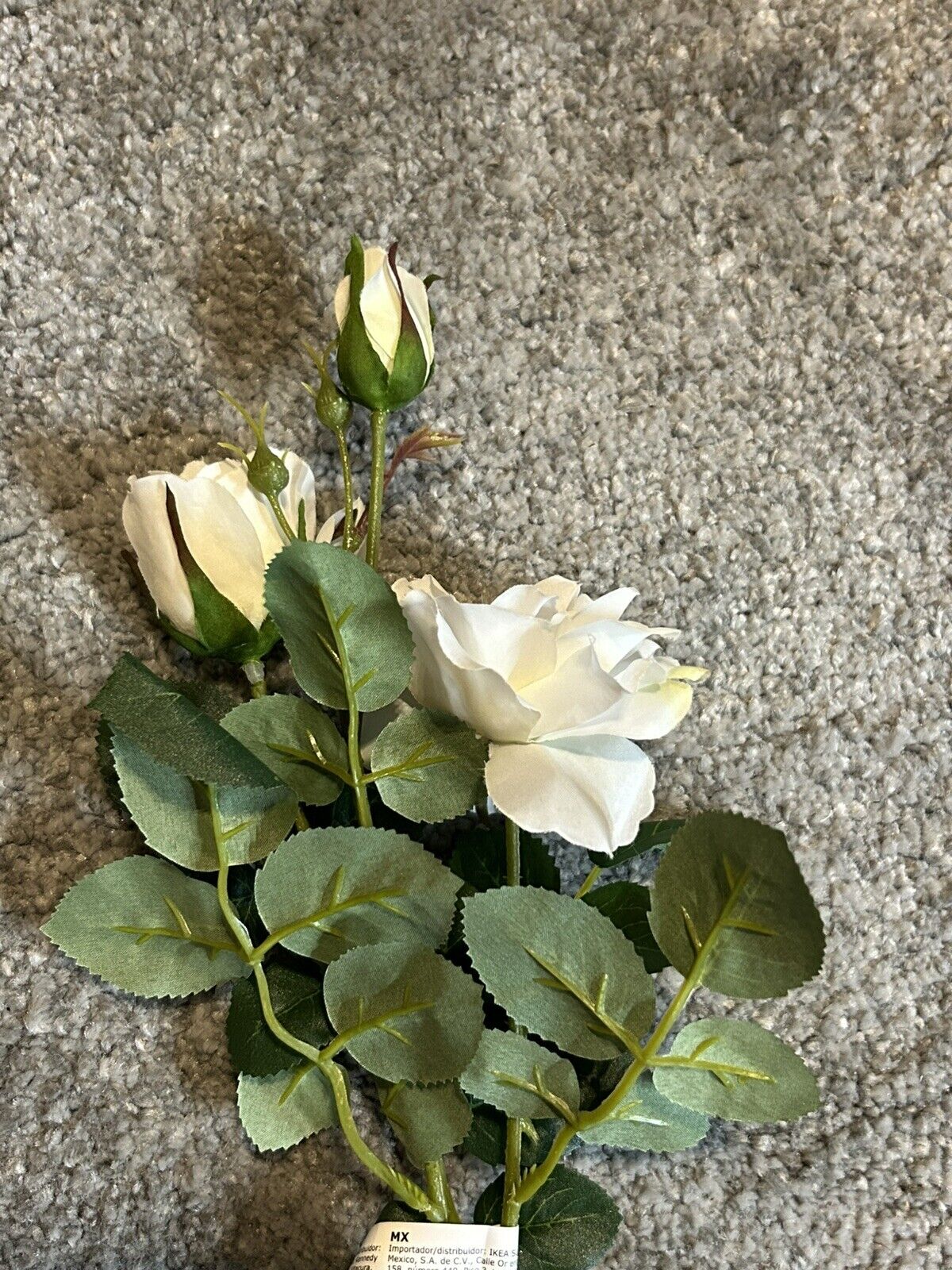 Foto 2 di 3
