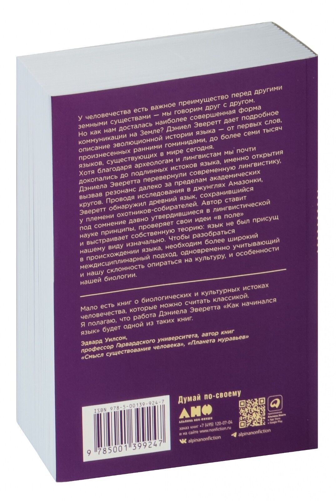 Foto 14 di 14
