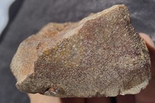 dinosaur-bone-rare-ancient-fossil-specimen-396-grams-or-14-ouncesutah