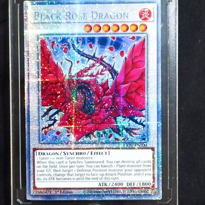 Konami Yu-Gi-Oh! Black Rose Dragon JOTL-EN100 1st Edition Holo 2400/1800