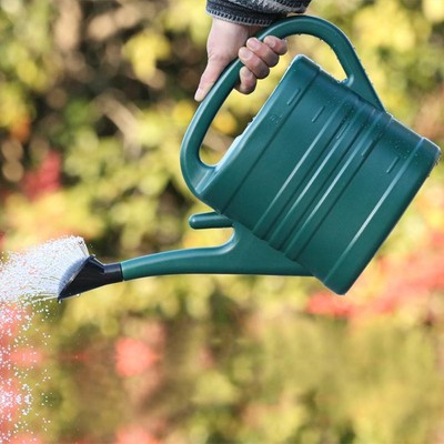 5L Plastic Watering Can Garden Essential Watering Can Indoor Outdoor