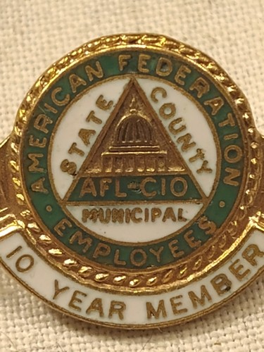 Vintage American Federation Employees AFL-CIO 10 Year Member Lapel Pin - Picture 2 of 7