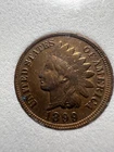 1899  Indian Head Cent - Brown Color -- Choice UNCIRCULATED  Lot #143 b