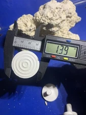 100  CURED REEF DISKS FOR LIVE CORAL FRAG PROPAGATION 1.39 inch Round