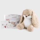 Foto 12 di 24