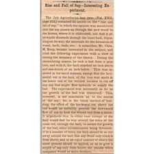 Rise and Fall of Sap Interesting Experiment 1859 New York Clipping SAH5-M7