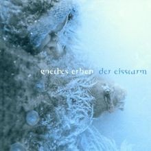 Der Eissturm von Goethes Erben | CD | Zustand gut