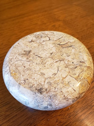 Vintage Natural Polished Stone Paperweight  Round Fossil Excellent - Picture 3 of 6