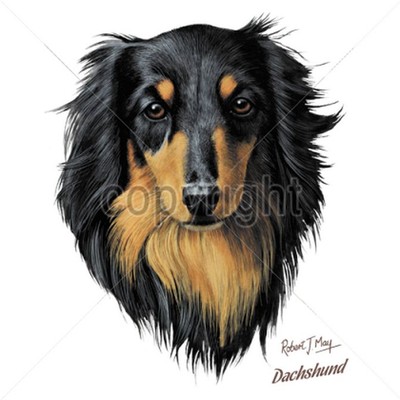 Long Hair Dachshund Dog Animal Pet Funny Graphic T Shirt Adult W29