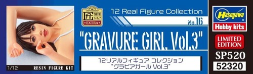 Hasegawa 112 No.16 Gravure Girl Vol.3 Painting Resin Kit SP520 - Picture 7 of 7