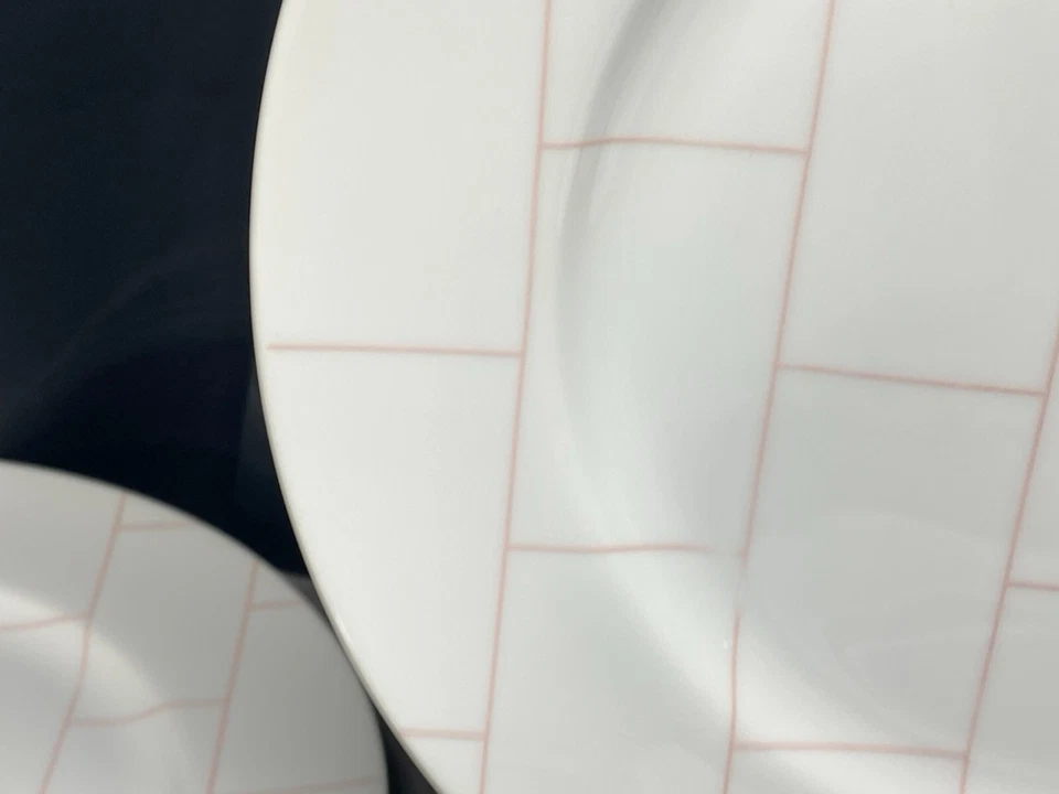 Sasaki "GRIDLOCK PINK" Patino Wolf ~ Japón ~ Juego de 6 ~ Platos de Cena ~ 10 3/4" Foto 3 de 4