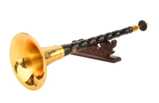 Gold Plated Suona in D Key Professional Concert Master Chinese Oboe Zurna NEW