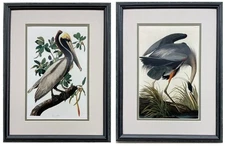 John James Audubon "Pelican & Great Blue Heron"  Pair of Art Bird Ornithology
