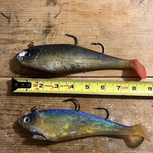 STORM WILDEYE SWIM SHAD 4 - De todo para la pesca