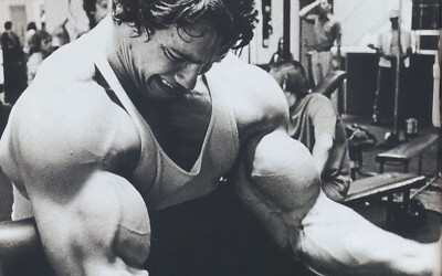 Filmposter Arnold Schwarzenegger Bodybuilding Fitnessstudio Motivation Wandbild Deko A4
