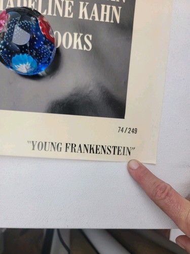 Young Frankenstein Original One Sheet Movie Poster. 1974. Light Wear AUTHENTIC - Picture 6 of 13