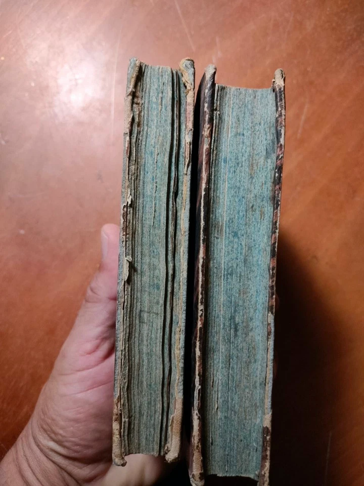 LA DIVINA COMMEDIA DI DANTE ALIGHIERI (VENEZIA 1852) CON NOTE DI PAOLO COSTA - Immagine 3 di 4