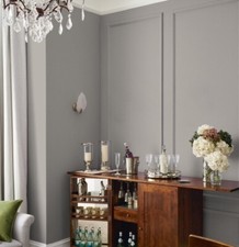DOVE  GREY 5 LITRE ONECOAT INTERIOR SOFT SHEEN INTERIOR EMULSION PAINT