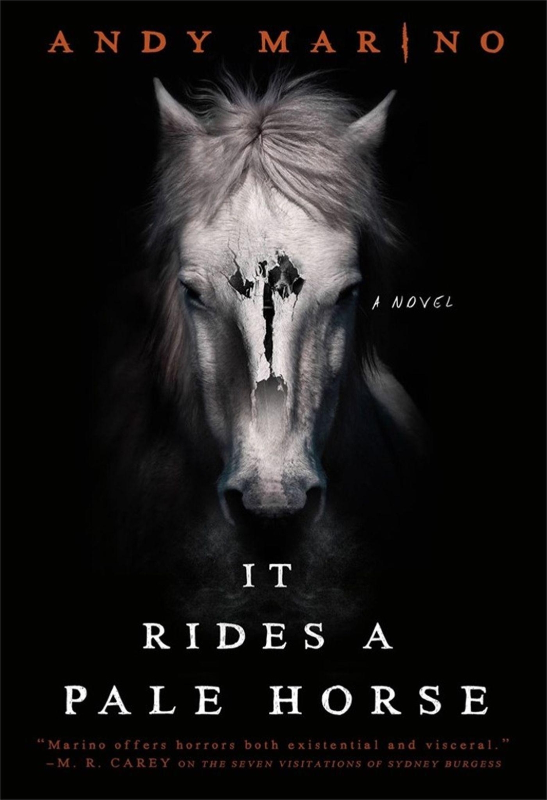 Thumbnail - Andy Marino | It Rides A Pale Horse | Taschenbuch | Englisch (2022) |