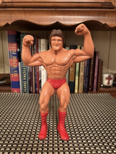 LJN Titan Sports Wrestling Acton Figure Paul Paul ...
