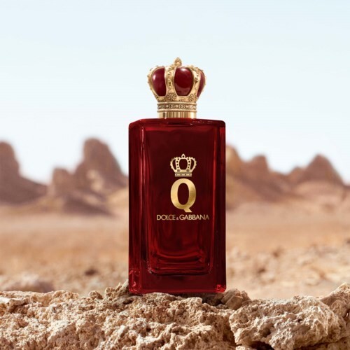 Dolce & Gabbana Q オードパルファム 50ml Dolce & Gabbana Q Eau de Parfum Spray | Dillard's